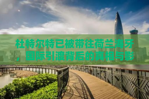 杜特尔特已被带往荷兰海牙，国际引渡背后的真相与影响