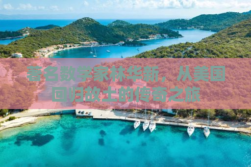著名数学家林华新，从美国回归故土的传奇之旅