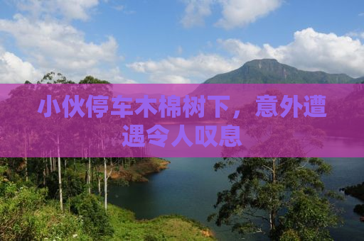 小伙停车木棉树下，意外遭遇令人叹息