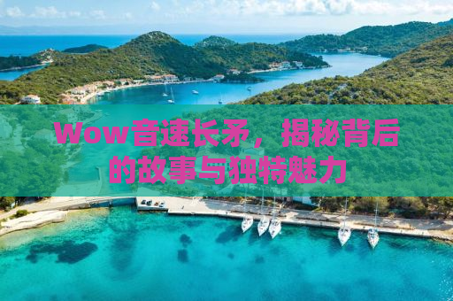 Wow音速长矛，揭秘背后的故事与独特魅力