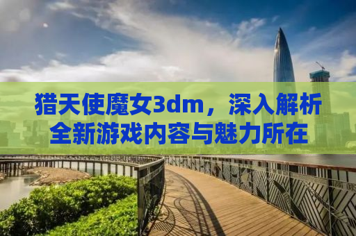 猎天使魔女3dm，深入解析全新游戏内容与魅力所在