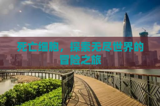 死亡细胞，探索无尽世界的冒险之旅