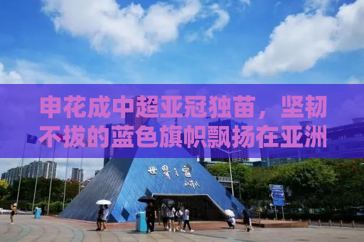 申花成中超亚冠独苗，坚韧不拔的蓝色旗帜飘扬在亚洲赛场