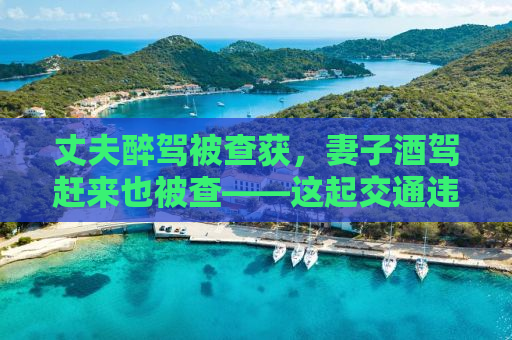 丈夫醉驾被查获，妻子酒驾赶来也被查——这起交通违法事件背后的故事与警示