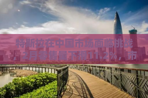 特斯拉在中国市场面临挑战，2月零售量下滑11.2%，市场趋势与未来前景分析