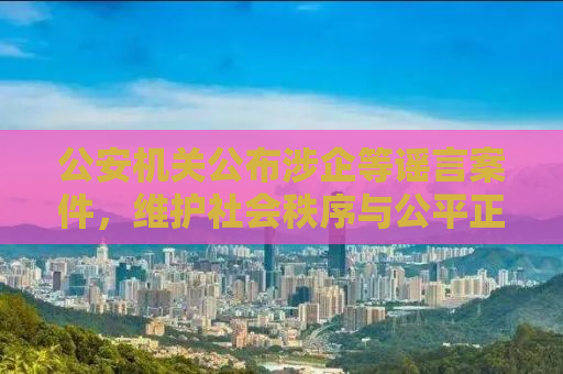 公安机关公布涉企等谣言案件，维护社会秩序与公平正义的坚定决心