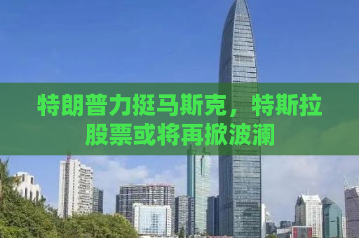 特朗普力挺马斯克，特斯拉股票或将再掀波澜