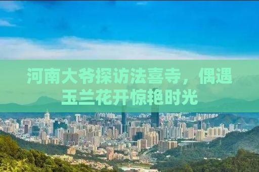 河南大爷探访法喜寺，偶遇玉兰花开惊艳时光