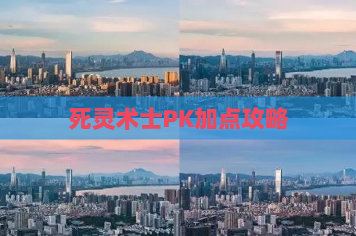 死灵术士PK加点攻略