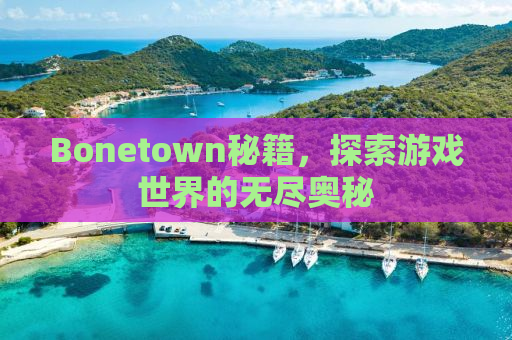 Bonetown秘籍，探索游戏世界的无尽奥秘