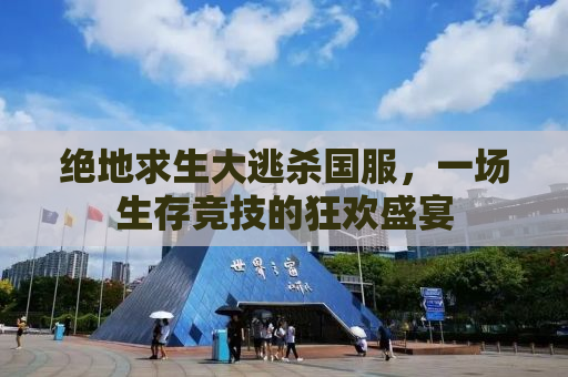 绝地求生大逃杀国服，一场生存竞技的狂欢盛宴