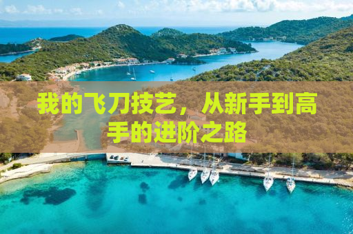 我的飞刀技艺，从新手到高手的进阶之路