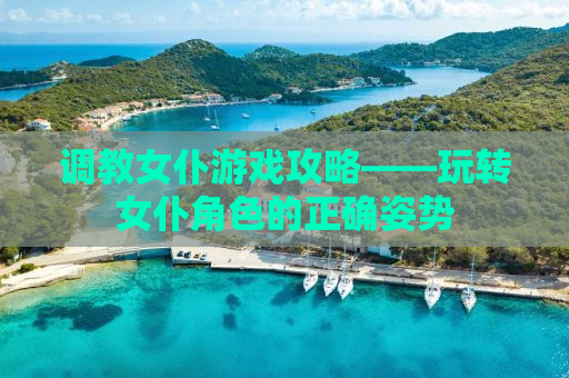 调教女仆游戏攻略——玩转女仆角色的正确姿势