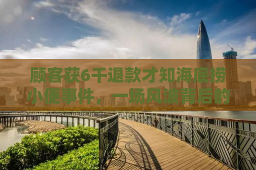 顾客获6千退款才知海底捞小便事件，一场风波背后的真相与反思