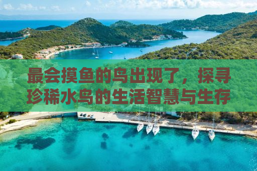 最会摸鱼的鸟出现了，探寻珍稀水鸟的生活智慧与生存策略