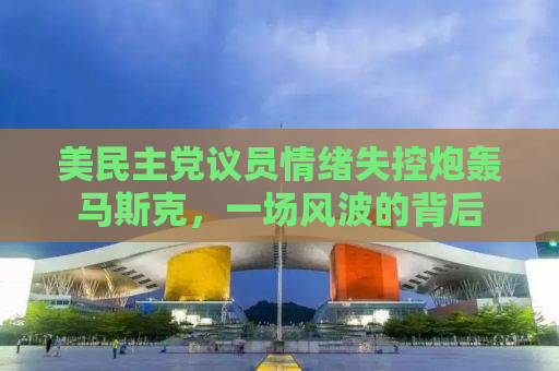 美民主党议员情绪失控炮轰马斯克，一场风波的背后