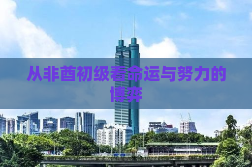 从非酋初级看命运与努力的博弈