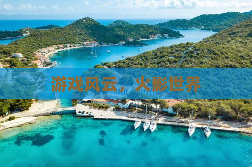 游戏风云，火影世界