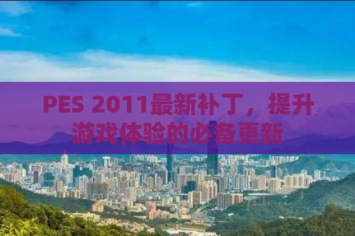 PES 2011最新补丁，提升游戏体验的必备更新