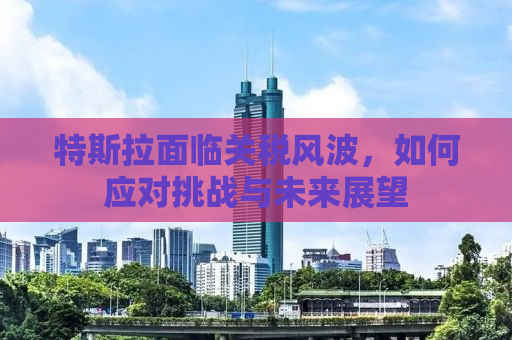 特斯拉面临关税风波，如何应对挑战与未来展望