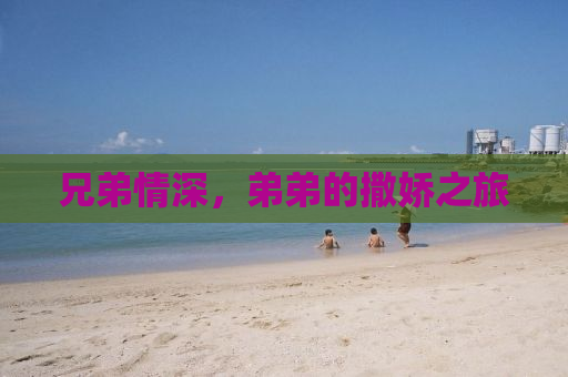 兄弟情深，弟弟的撒娇之旅