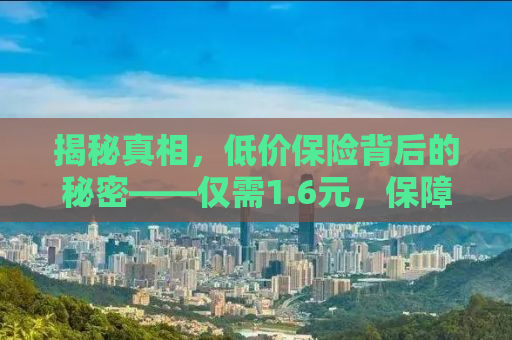 揭秘真相，低价保险背后的秘密——仅需1.6元，保障无忧？的陷阱与真相
