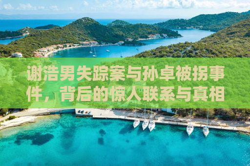 谢浩男失踪案与孙卓被拐事件，背后的惊人联系与真相探索