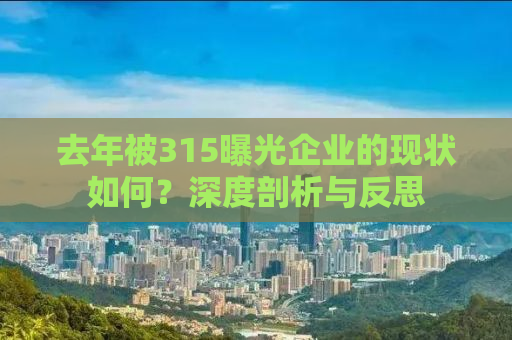 去年被315曝光企业的现状如何？深度剖析与反思