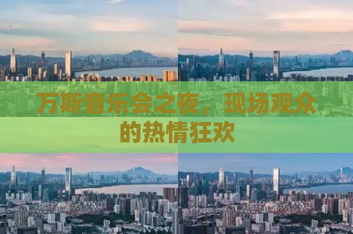 万斯音乐会之夜，现场观众的热情狂欢