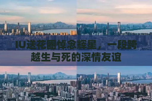 IU送花圈悼念辉星，一段跨越生与死的深情友谊
