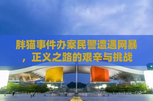 胖猫事件办案民警遭遇网暴，正义之路的艰辛与挑战