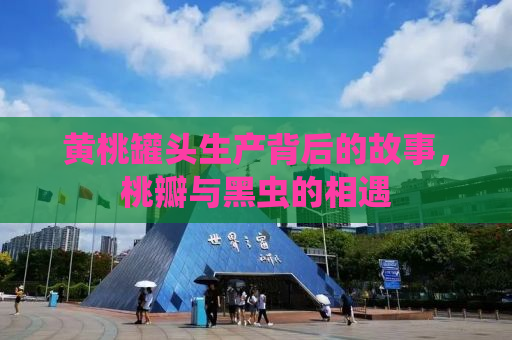 黄桃罐头生产背后的故事，桃瓣与黑虫的相遇