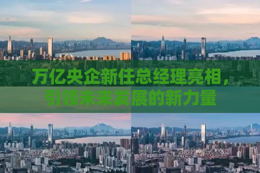万亿央企新任总经理亮相，引领未来发展的新力量