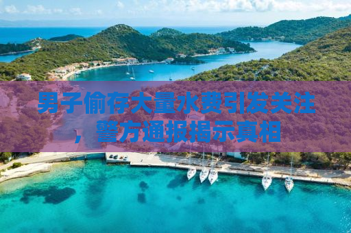 男子偷存大量水费引发关注，警方通报揭示真相