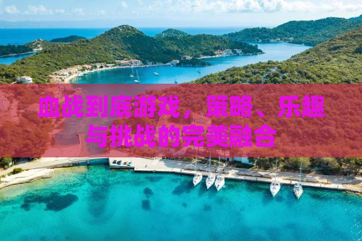 血战到底游戏，策略、乐趣与挑战的完美融合