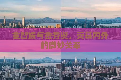 金智媛与金秀贤，荧幕内外的微妙关系