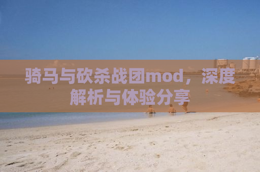 骑马与砍杀战团mod，深度解析与体验分享