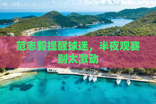 范志毅提醒球迷，半夜观赛别太激动