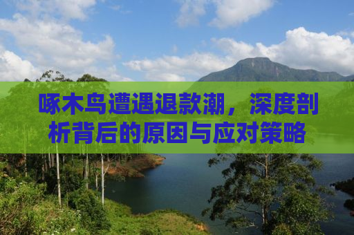 啄木鸟遭遇退款潮，深度剖析背后的原因与应对策略
