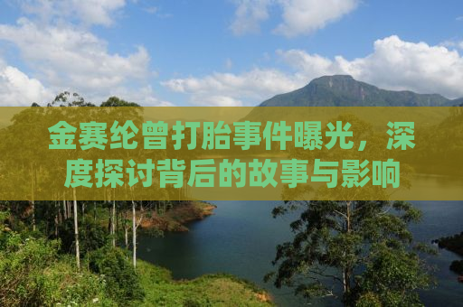 金赛纶曾打胎事件曝光，深度探讨背后的故事与影响