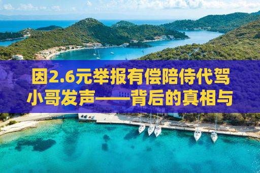 因2.6元举报有偿陪侍代驾小哥发声——背后的真相与社会反思