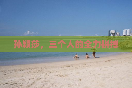 孙颖莎，三个人的全力拼搏