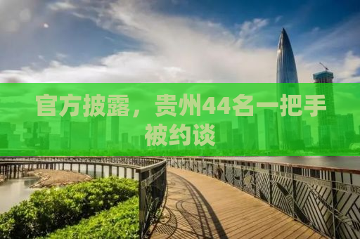 官方披露，贵州44名一把手被约谈