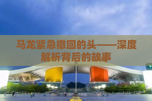 马龙紧急撤回的头——深度解析背后的故事