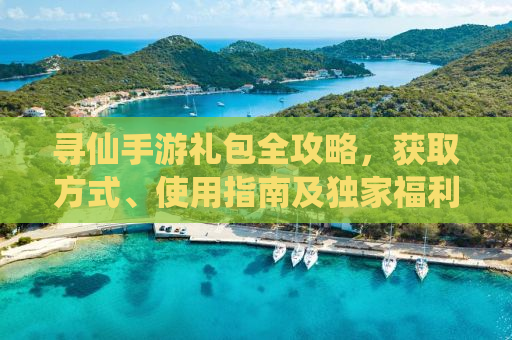 寻仙手游礼包全攻略，获取方式、使用指南及独家福利揭秘