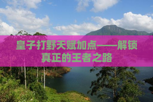 皇子打野天赋加点——解锁真正的王者之路