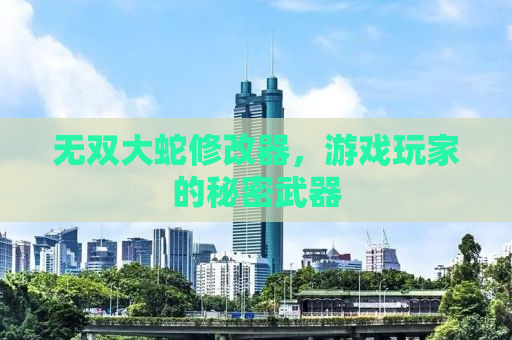 无双大蛇修改器，游戏玩家的秘密武器