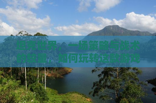坦克世界，一场策略与战术的较量，如何玩转这款游戏？