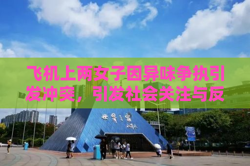 飞机上两女子因异味争执引发冲突，引发社会关注与反思
