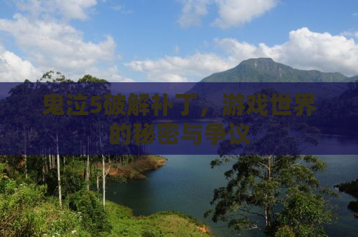 鬼泣5破解补丁，游戏世界的秘密与争议